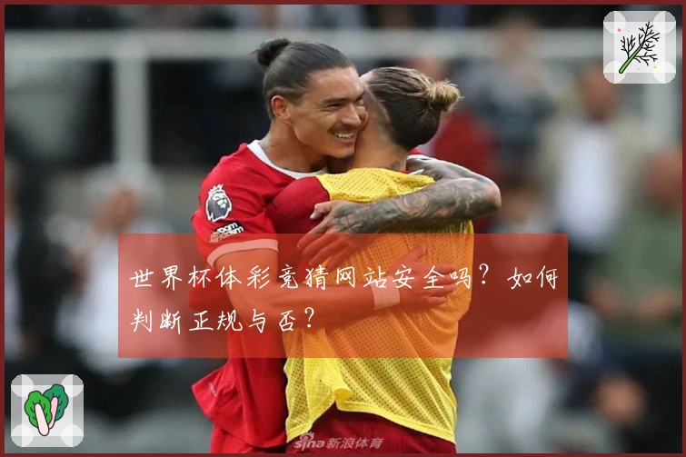 世界杯体彩竞猜网站安全吗？如何判断正规与否？