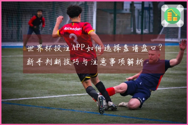 世界杯投注APP如何选择靠谱盘口？新手判断技巧与注意事项解析