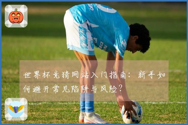 世界杯竞猜网站入门指南：新手如何避开常见陷阱与风险？