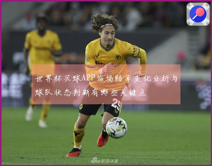 世界杯买球APP临场赔率变化分析与球队状态判断有哪些关键点