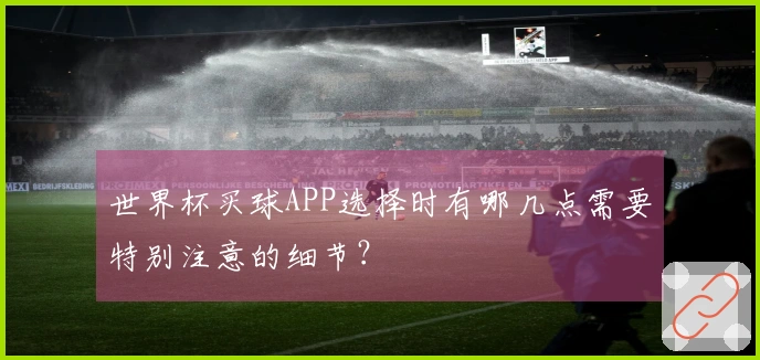 世界杯买球APP选择时有哪几点需要特别注意的细节？