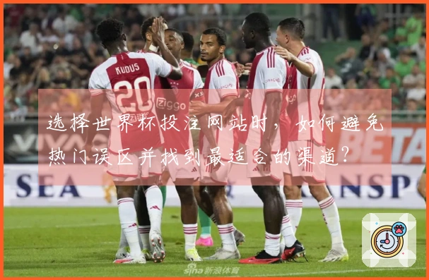 选择世界杯投注网站时，如何避免热门误区并找到最适合的渠道？