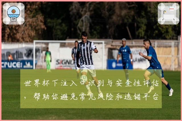 世界杯下注入口识别与安全性评估，帮助你避免常见风险和选错平台