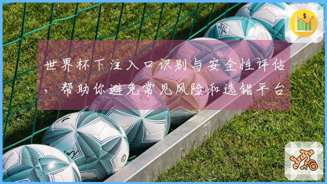 世界杯下注入口识别与安全性评估，帮助你避免常见风险和选错平台