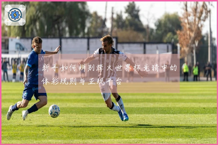 新手如何辨别烽火世界杯竞猜中的体彩规则与正规平台