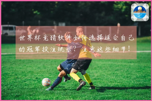 世界杯竞猜软件如何选择适合自己的冠军投注玩法？注意这些细节！