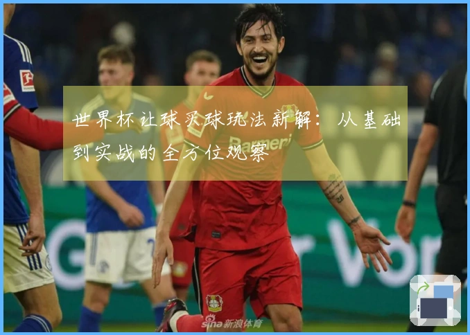 世界杯让球买球玩法新解：从基础到实战的全方位观察
