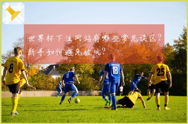 世界杯下注网站有哪些常见误区？新手如何避免被坑？
