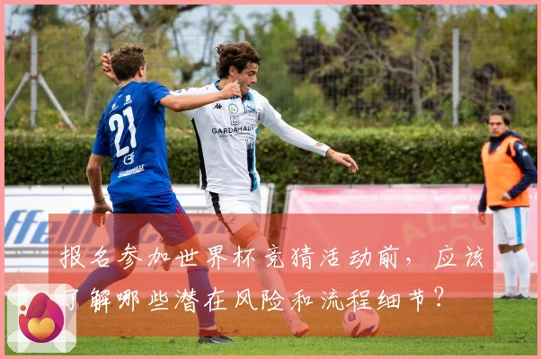 报名参加世界杯竞猜活动前，应该了解哪些潜在风险和流程细节？