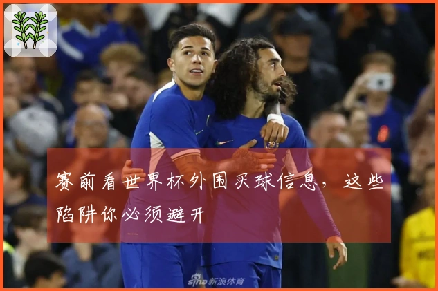 赛前看世界杯外围买球信息，这些陷阱你必须避开