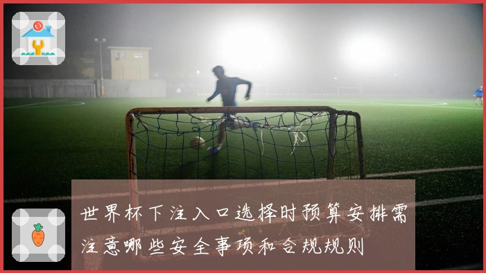 世界杯下注入口选择时预算安排需注意哪些安全事项和合规规则
