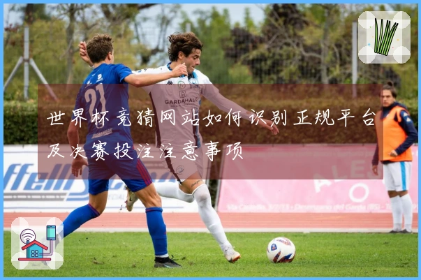 世界杯竞猜网站如何识别正规平台及决赛投注注意事项