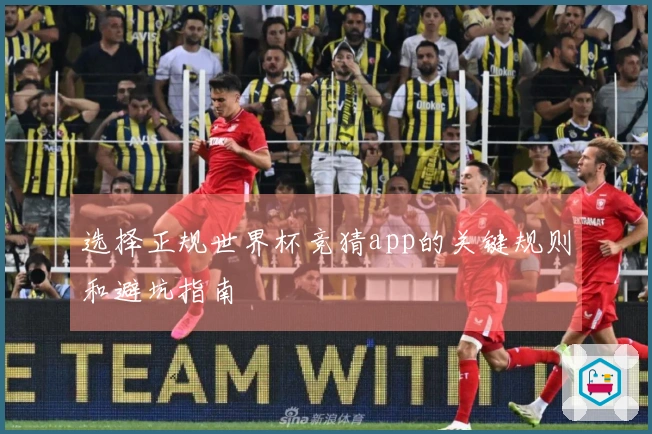 选择正规世界杯竞猜app的关键规则和避坑指南