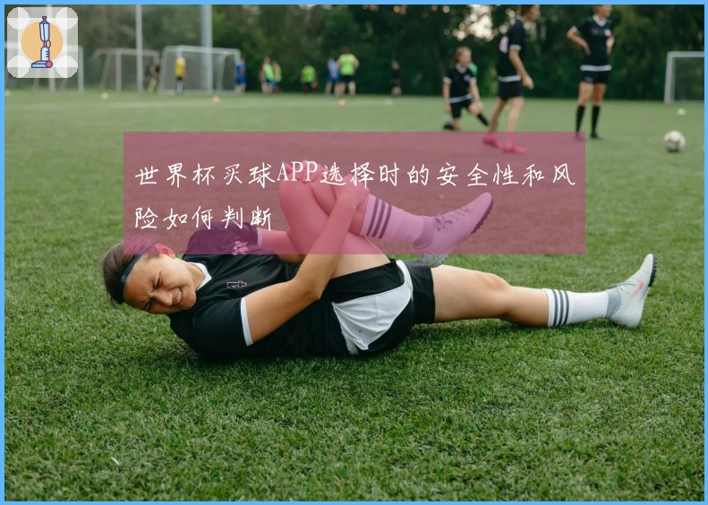 世界杯买球APP选择时的安全性和风险如何判断