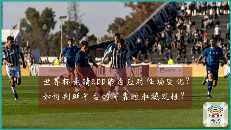 世界杯竞猜app能否应对临场变化？如何判断平台的可靠性和稳定性？