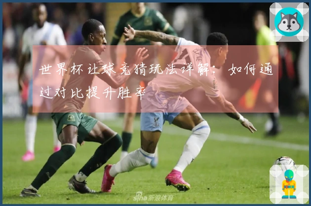 世界杯让球竞猜玩法详解：如何通过对比提升胜率