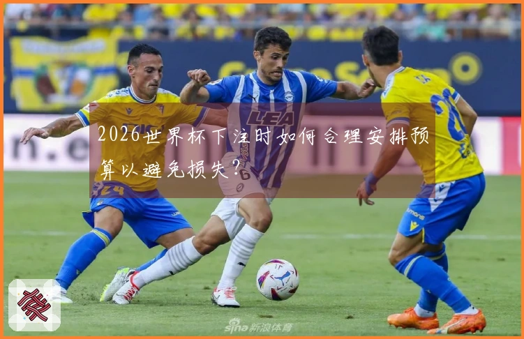 2026世界杯下注时如何合理安排预算以避免损失？