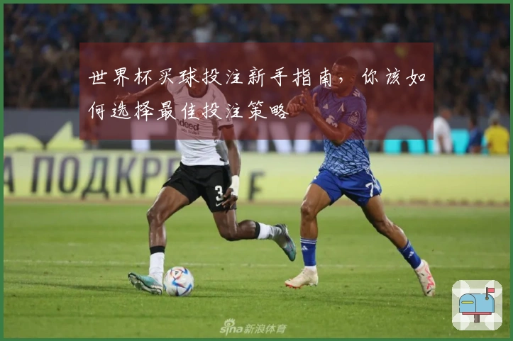 世界杯买球投注新手指南，你该如何选择最佳投注策略