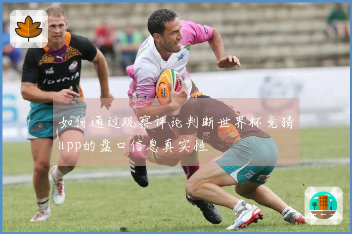 如何通过观察评论判断世界杯竞猜app的盘口信息真实性