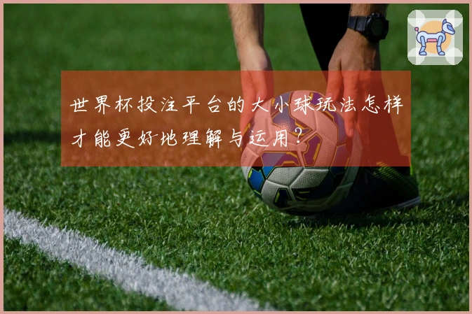 世界杯投注平台的大小球玩法怎样才能更好地理解与运用？